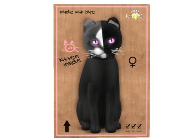 KittyCatS Box - 8T - F - Chimera - Black Grey