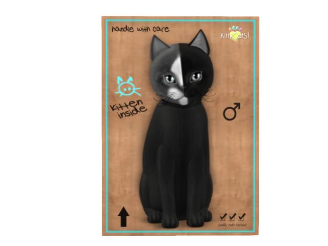 KittyCatS Box - 8T - M - Chimera - Black Grey - Brilliant