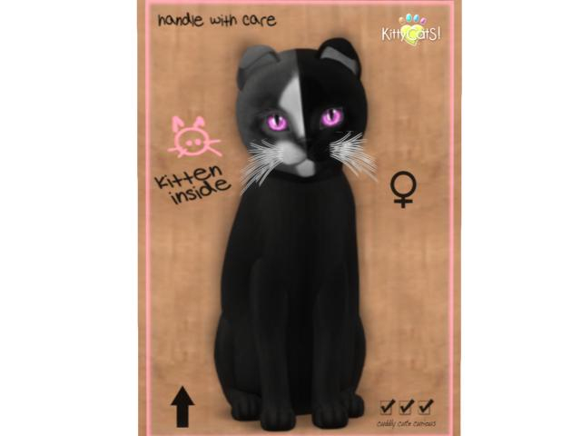 KittyCatS Box - 8T - F - Chimera - Black Grey