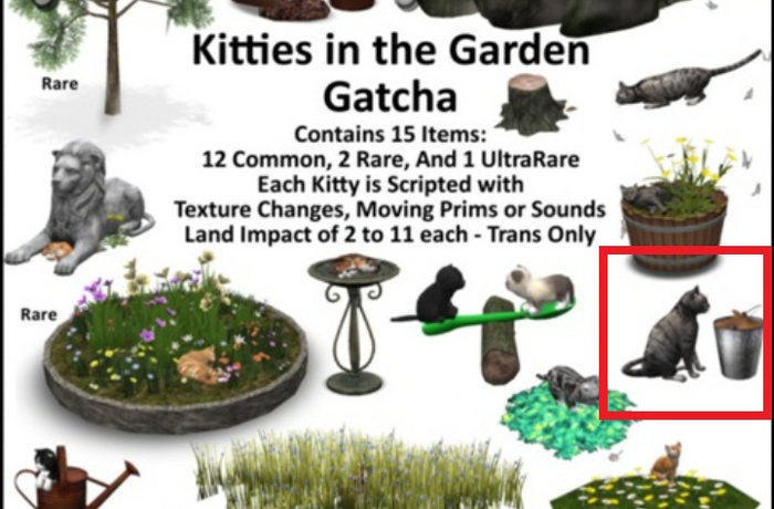 G15- Kitty is Watching the Bucket of Dirt Very Intently - Boxed