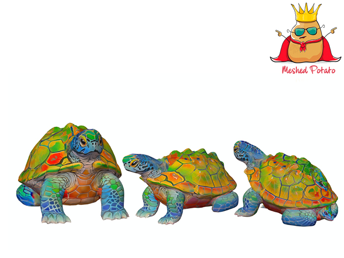 Mystic Turtle Full Perm
