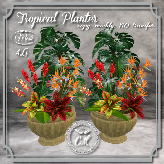 CM..Tropical Planter