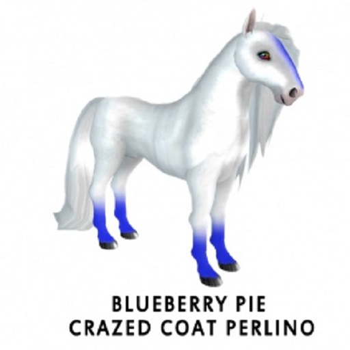 Blueberry Pie  f