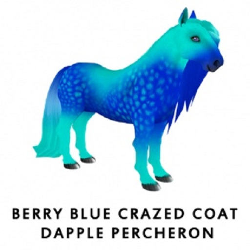 Berry Blue Crazed Coat  f