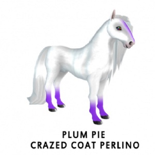 Plum Pie Crazed Coat  f