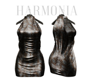 Maitreya Outfit Dress