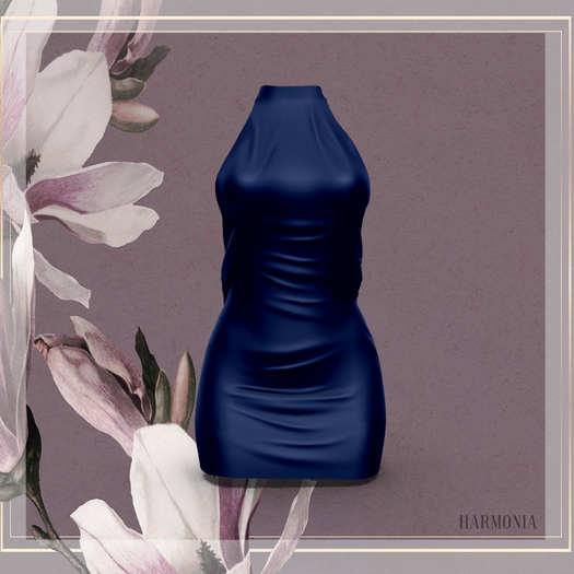 Maitreya Outfit Dress