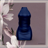 Maitreya Outfit Dress