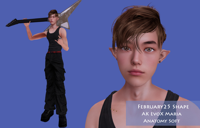 February25 Shape for AK Maria and Anatomy Soft