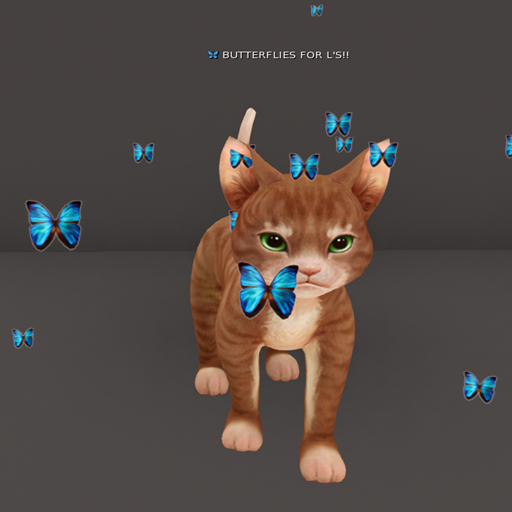 *JR*ORANGE CAT TIPJAR boxed((rezz and open))