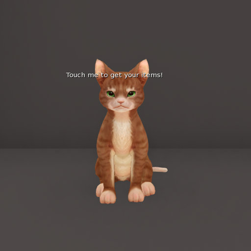 *JR* ORANGE CAT ITEM GIVER boxed ((rezz and open))