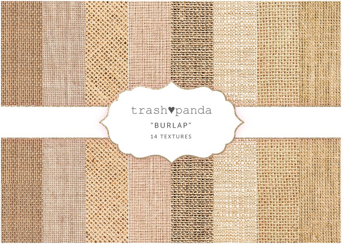 Trash Panda - Burlap