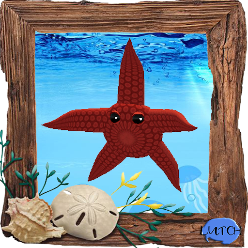 (7S) Common Stuff: Red Starfish