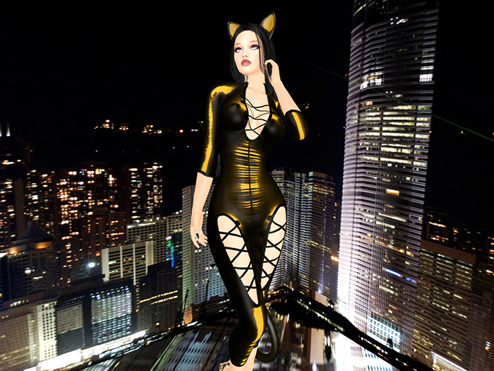 Clandestine kitty orange boxed