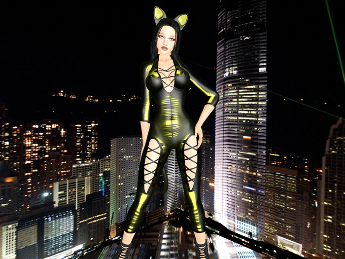 Clandestine kitty yellow boxed