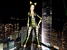 Clandestine kitty yellow boxed