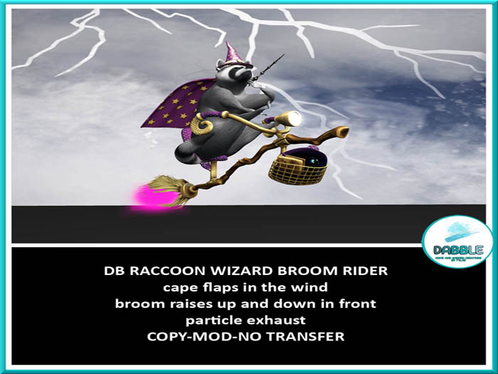 DB RACCOON WIZARD BROOM RIDER ADD ME