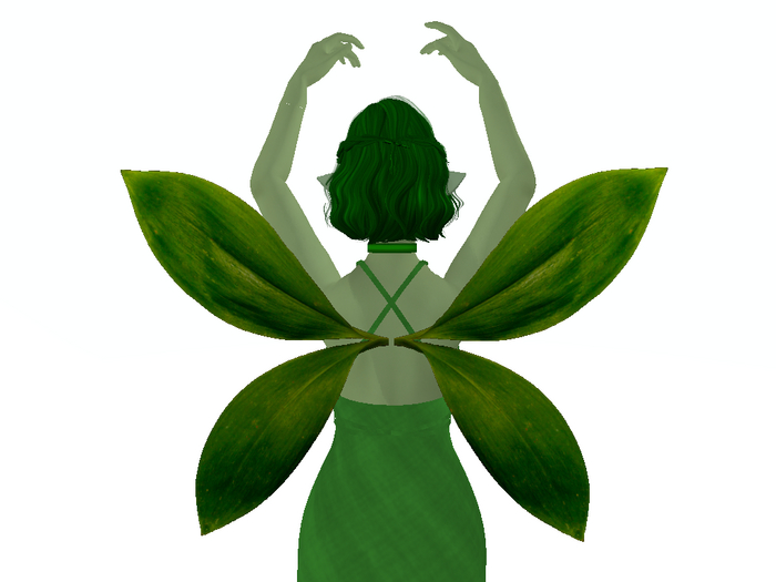 Clover Leaf Wings