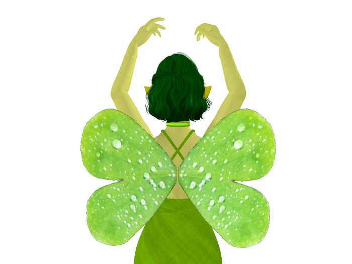 Dewy Clover Wings