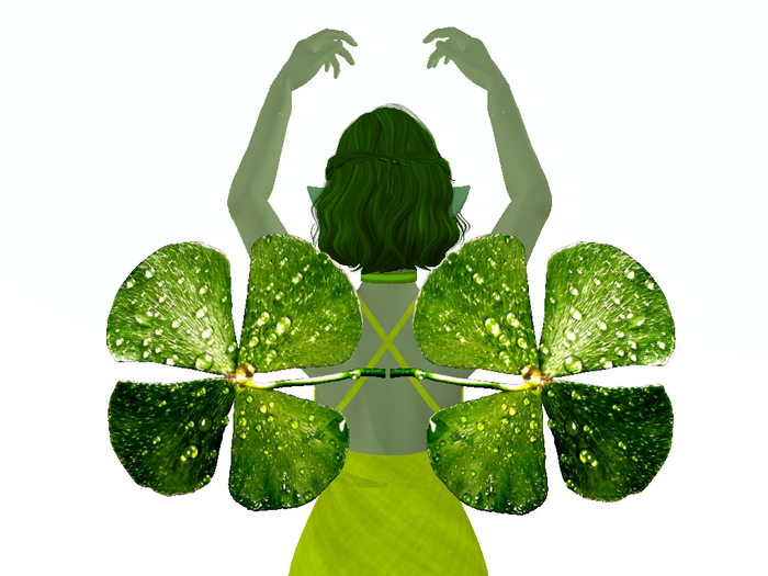 Dewy Shamrock Wings