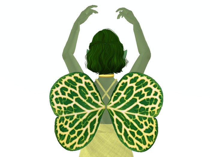 English Clover Wings