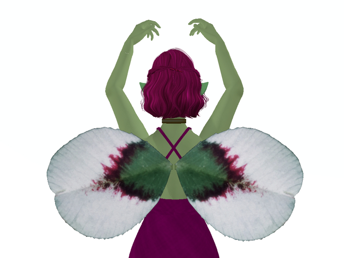 White Clover Wings
