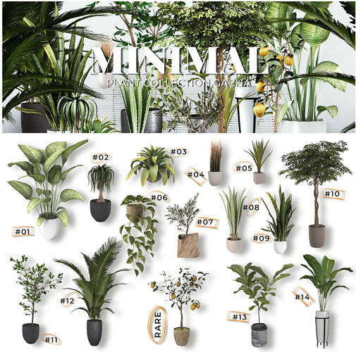 MINIMAL - Plant Collection Gacha #05