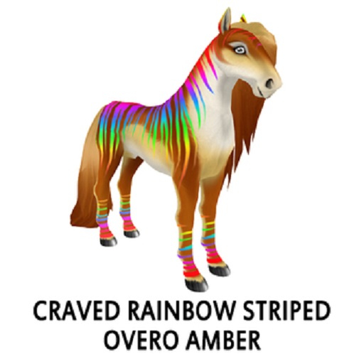 Craved Rainbow Striped Overo Amber M