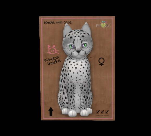 KittyCatS Box - Cheetah! - Silver - RockJadite