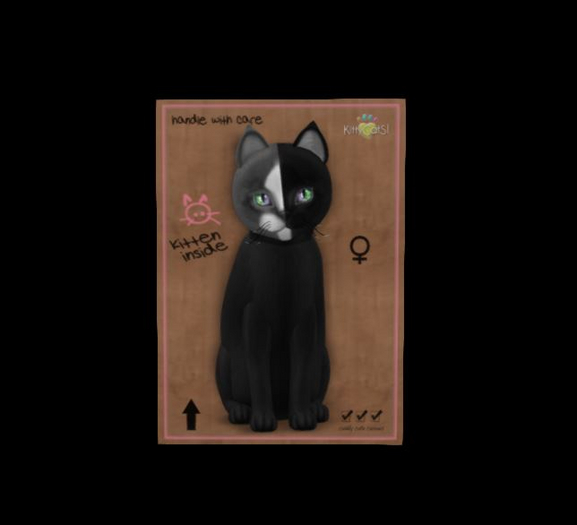 Chimera - Black Grey - RockJadite