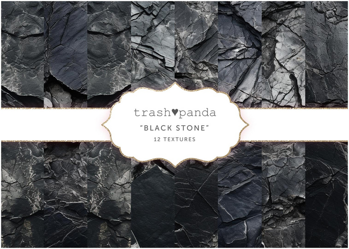 Trash Panda - Black Stone