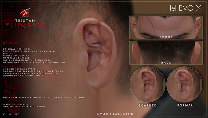 TF: Oreille (MESH | EVOX)