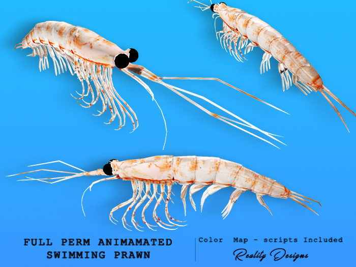 Full Perm Animated Swimming Prawn