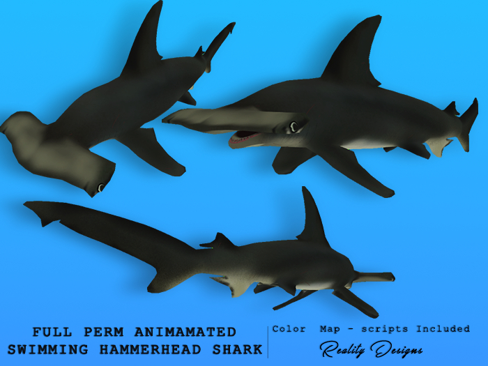 Full Perm Animated Swimming Hammerhead Shark