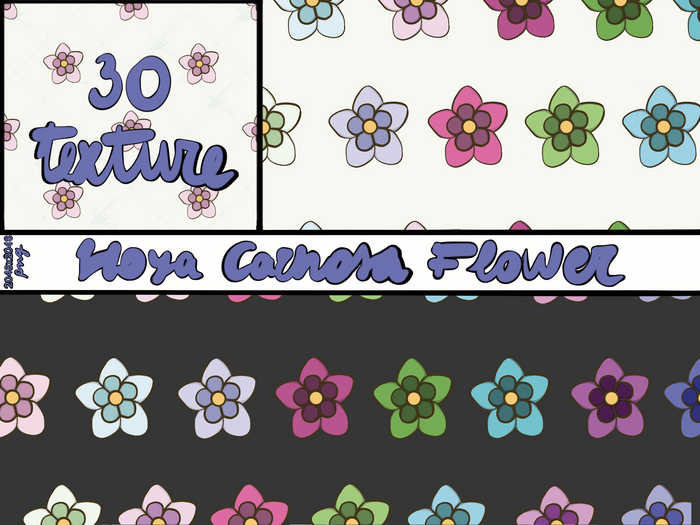 Hoya Carnosa Flower ~