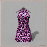 Perky Outfit Dress