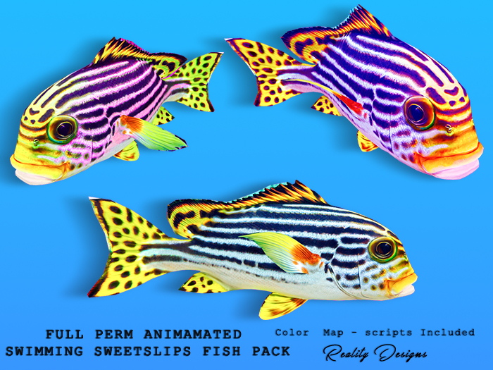 Full Perm Animated Swimming Sweetlips Fish Pack