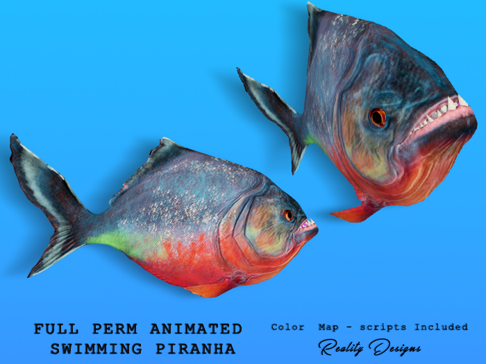 Full Perm  Animated Swimming Piranha