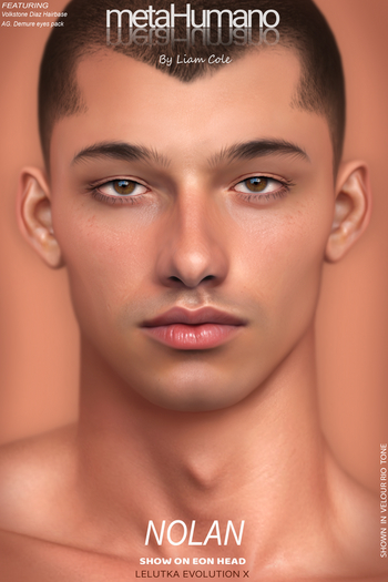 NOLAN - LEL EVOX - PEACH