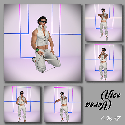 Vice Versa The Male Set3 Unpacker