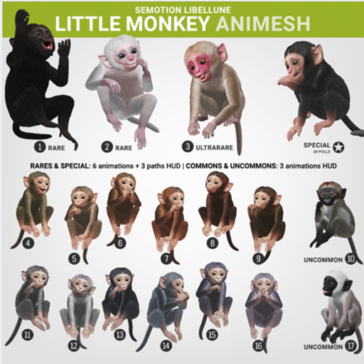 SEmotion Libellune Little Monkey Animesh COMMON 10
