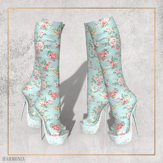 Maitreya Boots