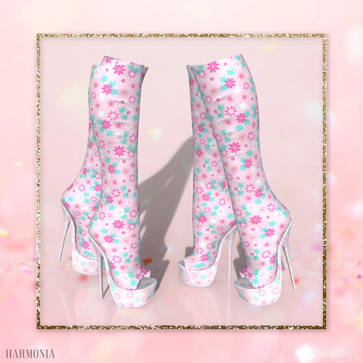 Maitreya Boots