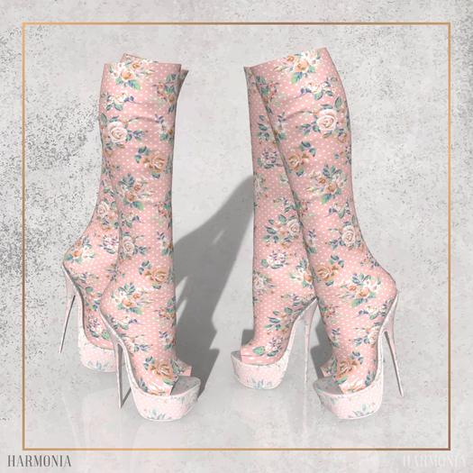 Maitreya Boots
