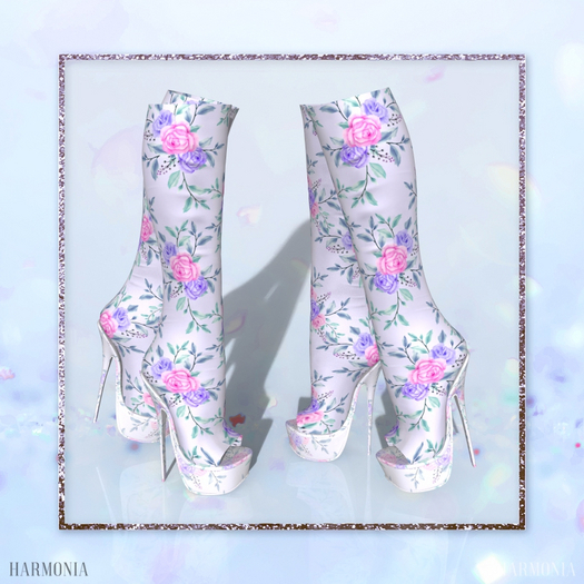 Maitreya Boots