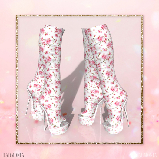 Maitreya Boots