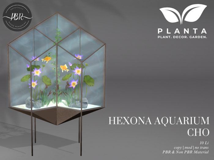 Planta - Hexona Aquarium Cho