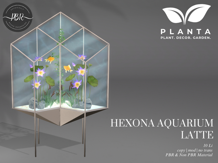 Planta - Hexona Aquarium Latte