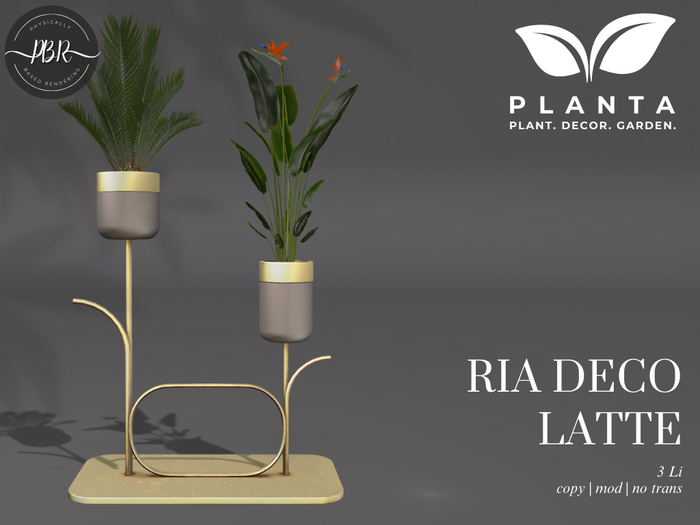 Planta - Ria Deco Latte