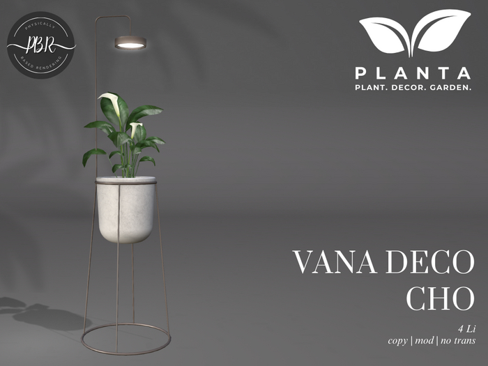 Planta - Vana Deco Cho